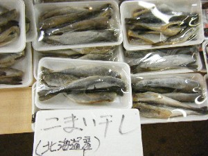 20110219 -���T�̔����ł�-_66