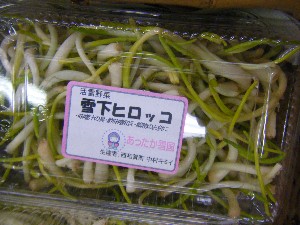 20110226 -���T�̔����ł�-_20