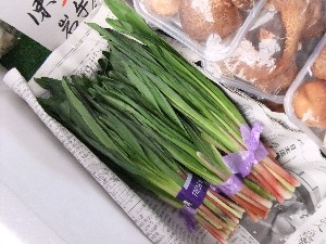 20110305 -���T�̔����ł�-_2