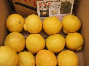 20110305 -���T�̔����ł�-_20