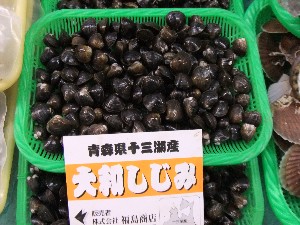20110305 -���T�̔����ł�-_38
