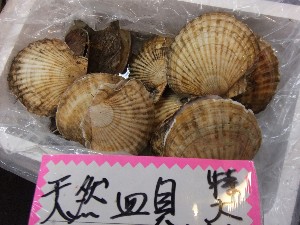 20110305 -���T�̔����ł�-_41