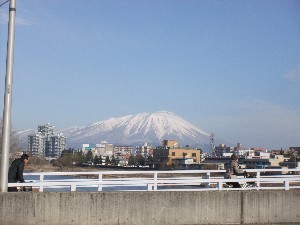 20110319 -���T�̔����ł�- _1