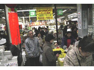 20110326 -���T�̔����ł�- _1