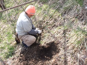 20110417 -�k�Е����F��̐A��- _1