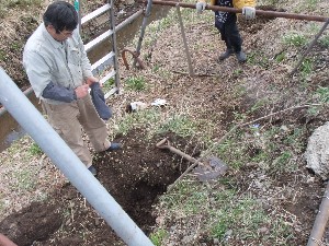 20110417 -�k�Е����F��̐A��- _3