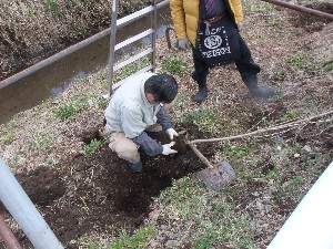 20110417 -�k�Е����F��̐A��- _5