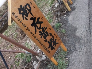 20110417 -�k�Е����F��̐A��- _6