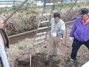 20110417 -�k�Е����F��̐A��- _8