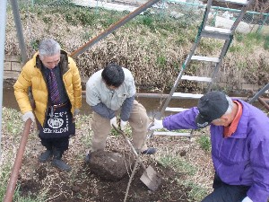 20110417 -�k�Е����F��̐A��- _9