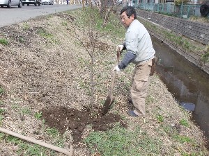 20110417 -�k�Е����F��̐A��- _13