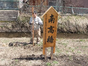 20110417 -�k�Е����F��̐A��- _15