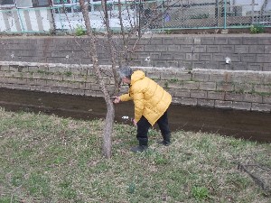 20110417 -�k�Е����F��̐A��- _17