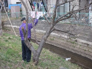 20110417 -�k�Е����F��̐A��- _18