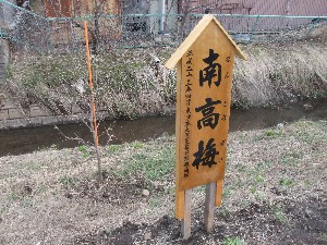 20110417 -�k�Е����F��̐A��- _20