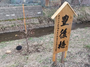 20110417 -�k�Е����F��̐A��- _21