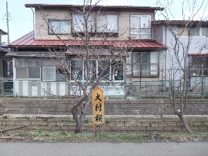 20110417 -�k�Е����F��̐A��- _23