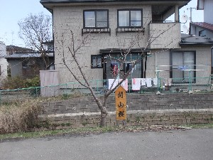 20110417 -�k�Е����F��̐A��- _24