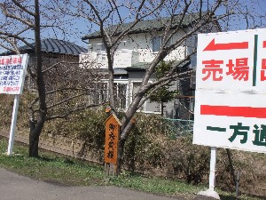 20110417 -�k�Е����F��̐A��- _28