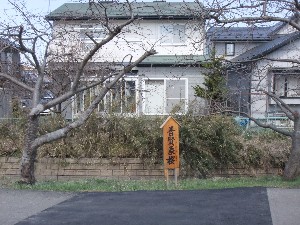 20110417 -�k�Е����F��̐A��- _29