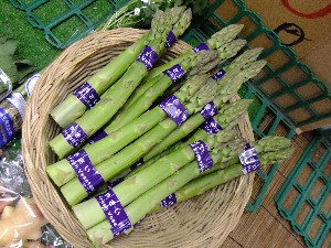 20110430 -���T�̔����ł�- _26