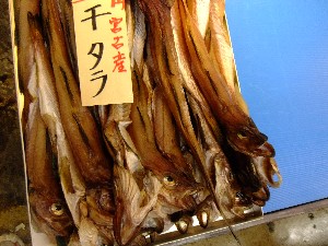 20110430 -���T�̔����ł�- _36