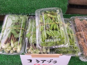 201105114 - ���T�̔����ł�_27