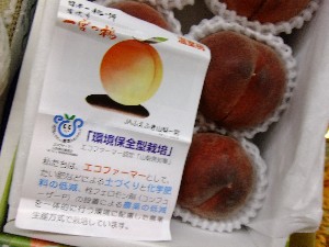 201105114 - ���T�̔����ł�_44