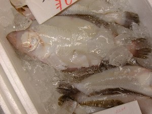 201105114 - ���T�̔����ł�_49