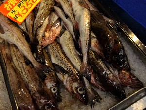 201105114 - ���T�̔����ł�_55