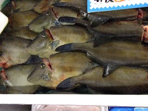 201105114 - ���T�̔����ł�_60