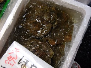 201105114 - ���T�̔����ł�_68