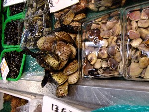 201105114 - ���T�̔����ł�_70