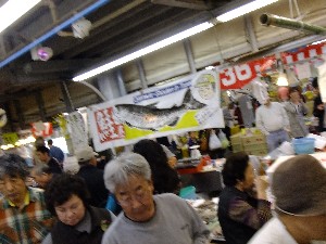 20110514 - ����񂱓�̂��U�镑�� -_5
