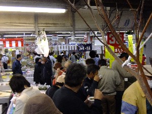 20110514 - ����񂱓�̂��U�镑�� -_6
