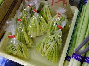 20110521 - ���T�̔����ł� -_5
