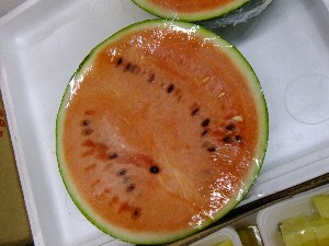 20110526  -���T�̔����ł�-_26