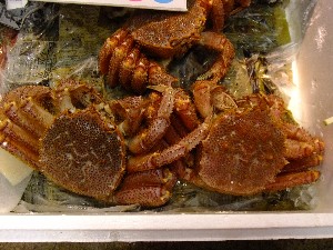 20110526  -���T�̔����ł�-_44