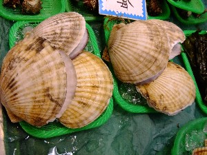 20110526  -���T�̔����ł�-_47