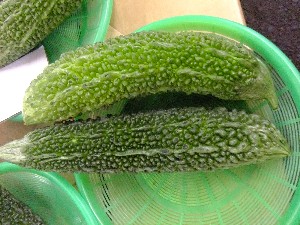 20110604  -�������������� �d�P�������U�镑��-2-_5