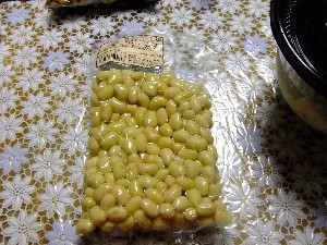 20110604  -�������������� �d�P�������U�镑��-2-_36