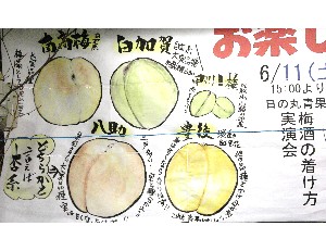 20110611  -�~���̍�������-_1