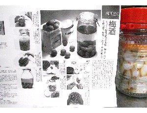 20110611  -�~���̍�������-_3