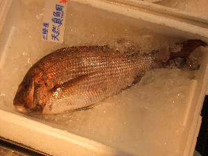 20110611  �|���T�̔����ł�-_24