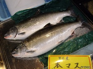20110611  �|���T�̔����ł�-_33