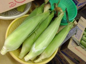 20110625 -���T�̔����ł�-_28