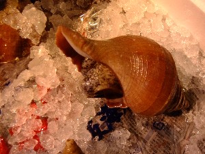20110625 -���T�̔����ł�-_61
