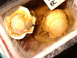  20110702 -���T�̔����ł�-�@_50