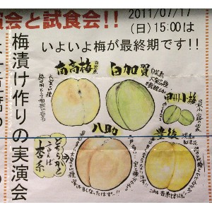  20110717 -�~�Ђ��̎�����-_1
