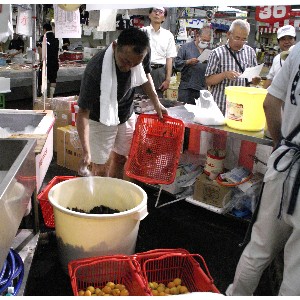 20110717 -�~�Ђ��̎�����-_2